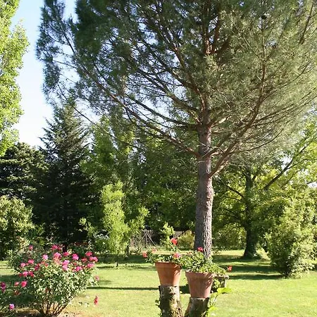 Apartman Tybolea