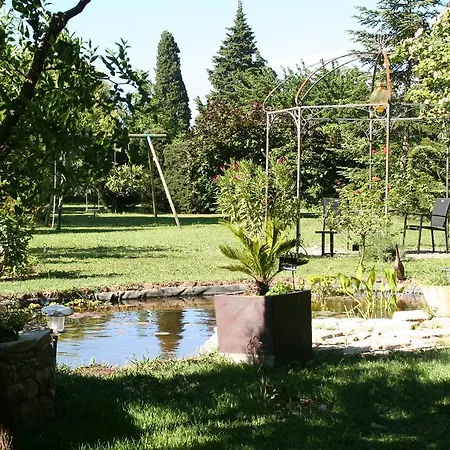 Tybolea Cavaillon